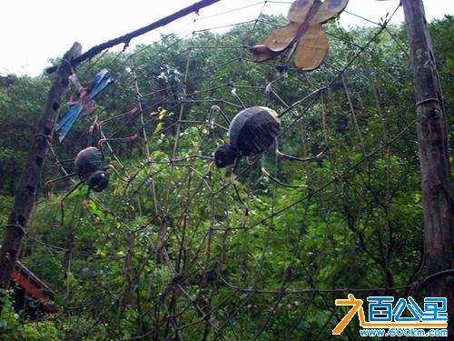 黑寡妇.jpg