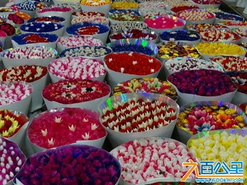 花市里面的干花.jpg