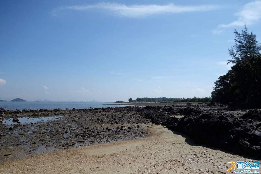 DSC05249-1.jpg