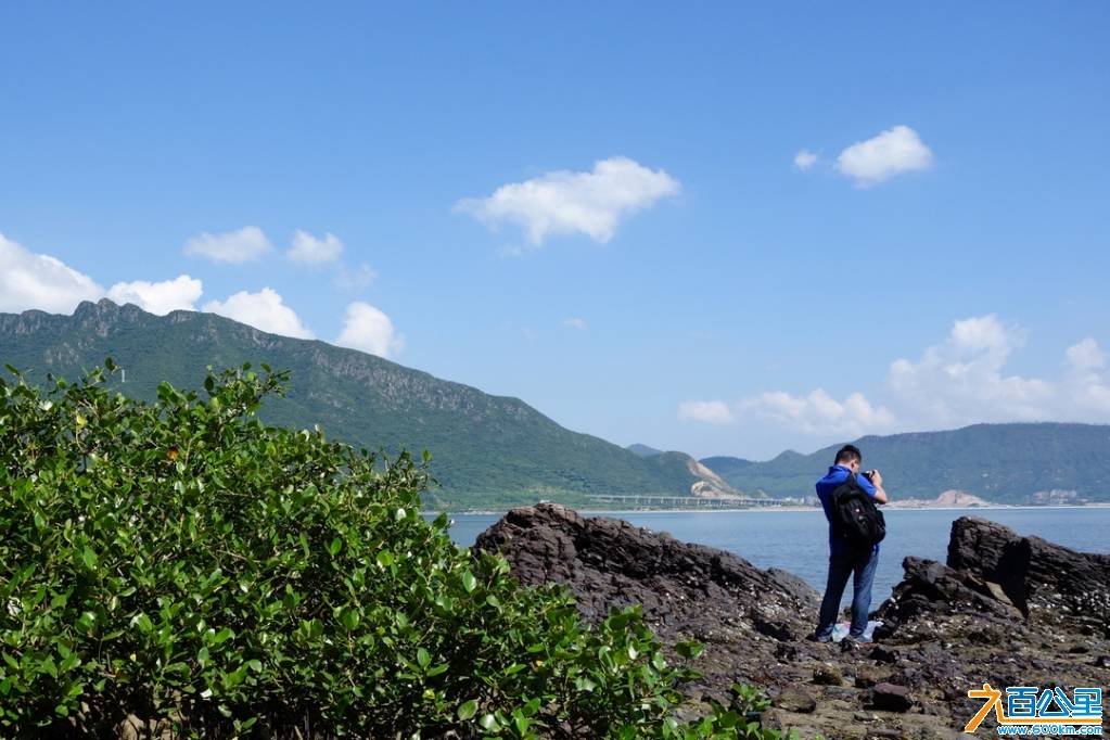 DSC05257-1.jpg