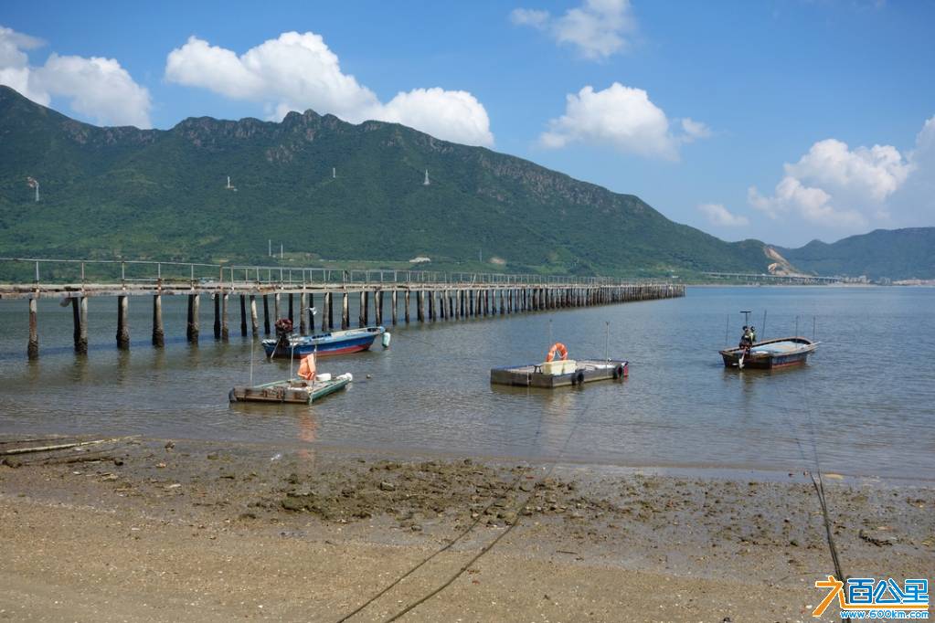 DSC05263-1.jpg