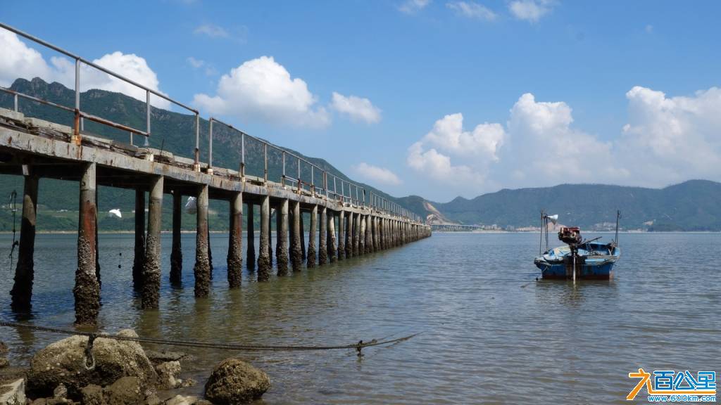 DSC05271-1.jpg