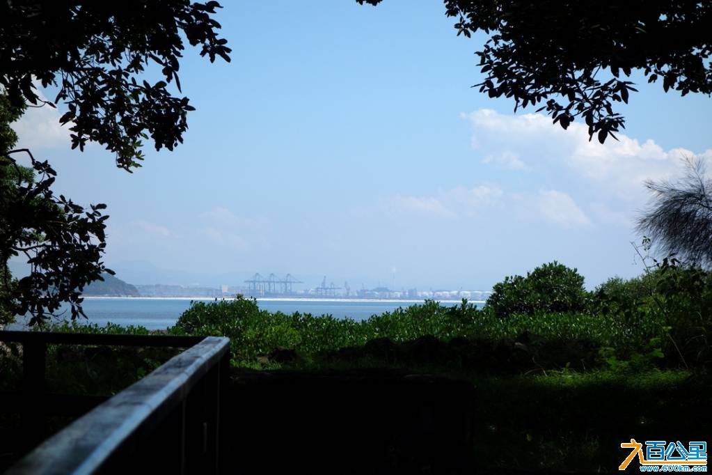 DSC05296-1.jpg