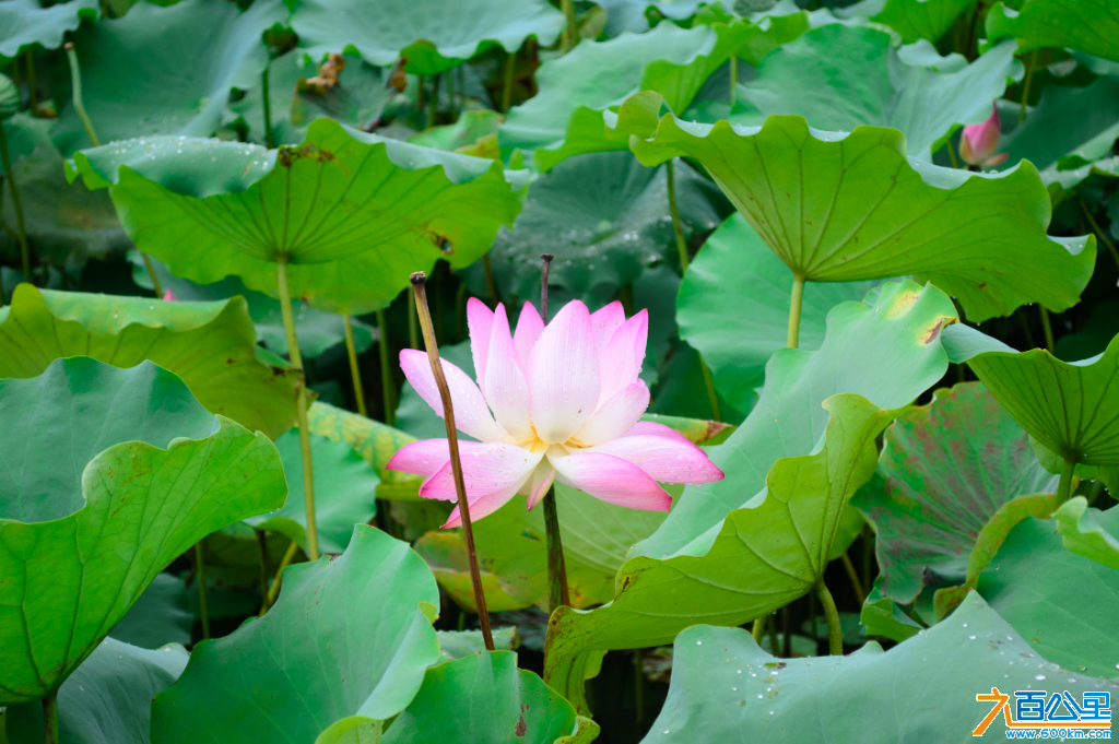 QQ截图20130926193007.png
