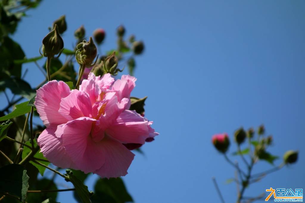 DSC06813-1.jpg