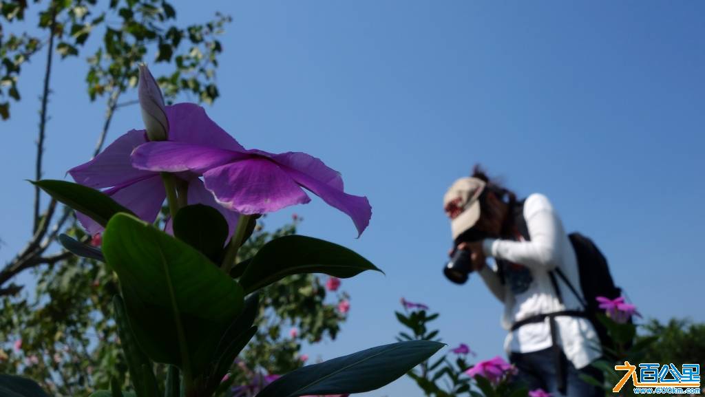 DSC06821-1.jpg