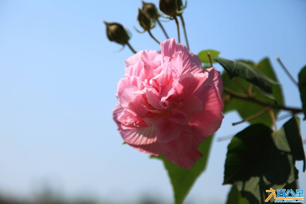 IMG_6017.JPG