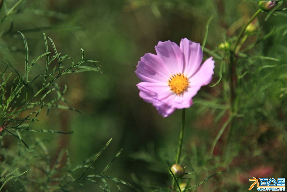 IMG_6047.JPG