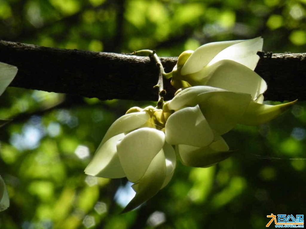 DSCF3517.JPG