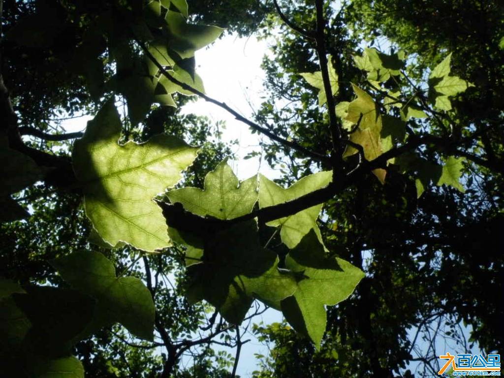 DSCF3483.JPG