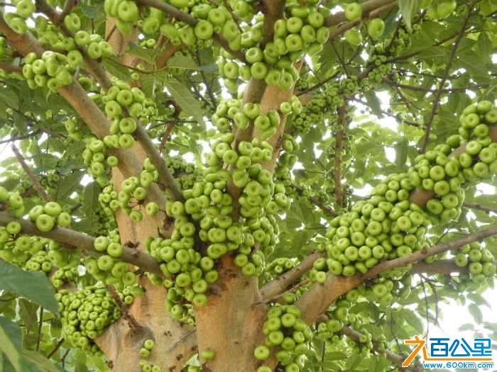 DSCF3167.JPG