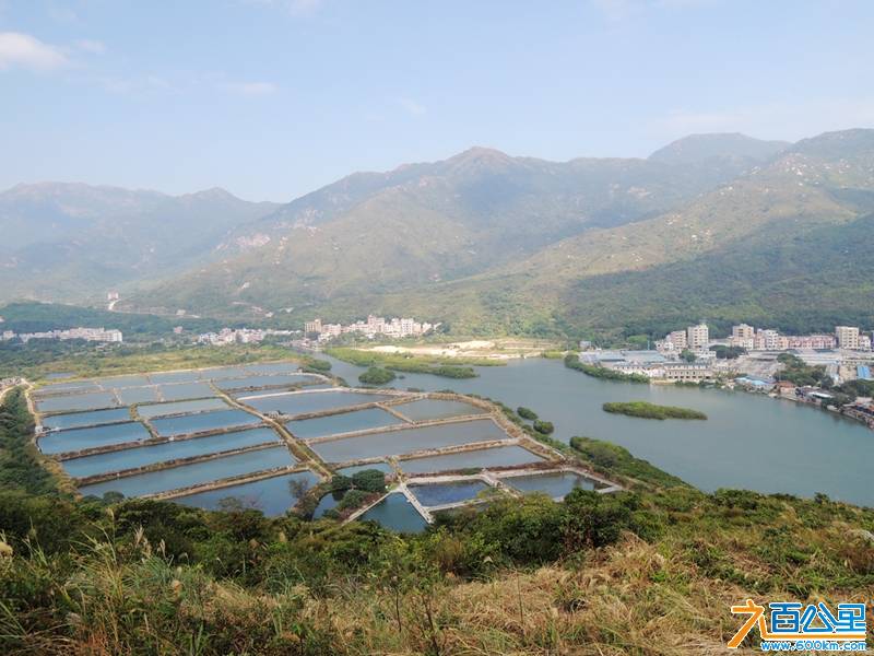 DSCN0944_副本.jpg
