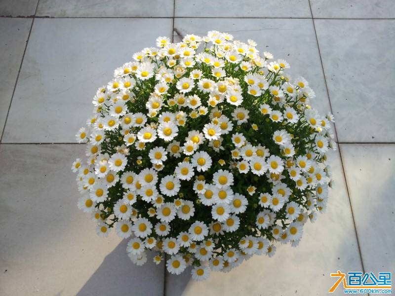 211126c98j960vjwow69v9.jpg