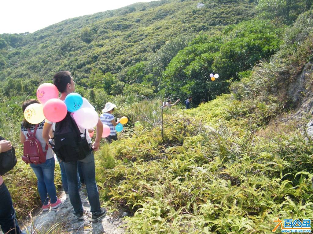 DSCF0794.JPG