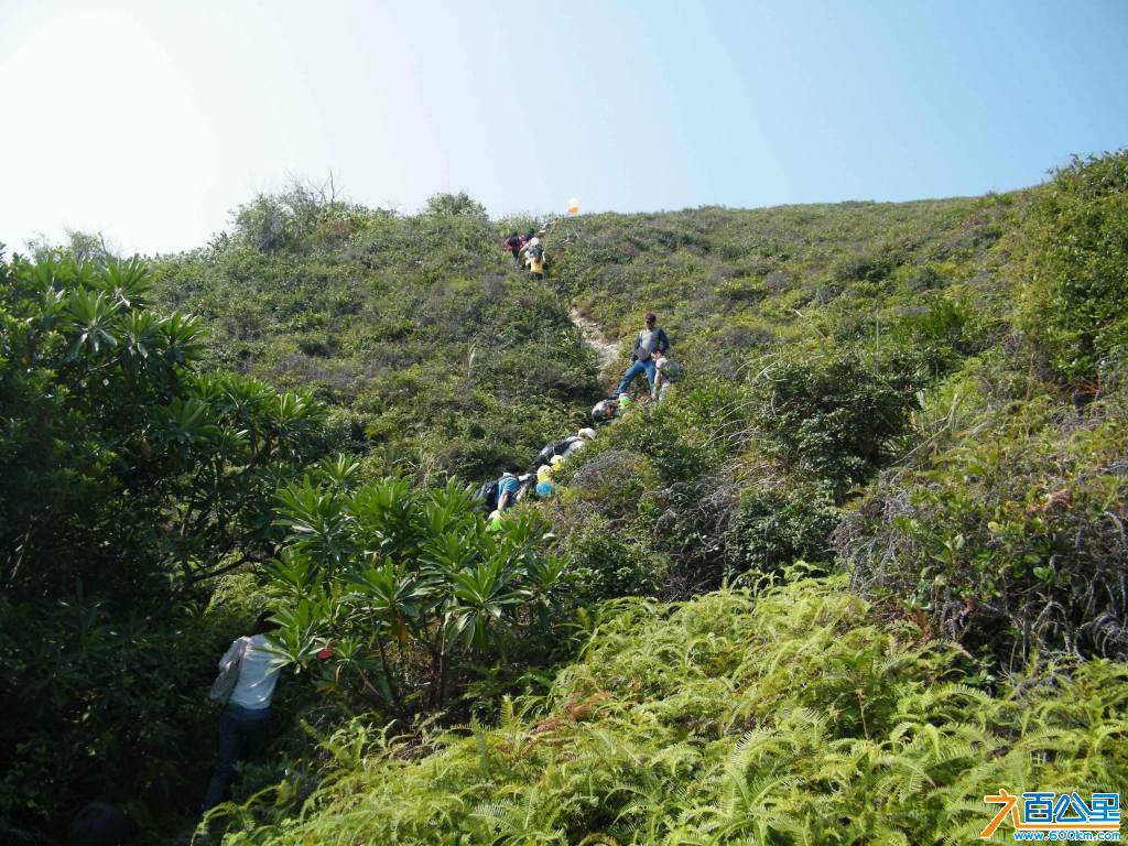 DSCF0795.JPG