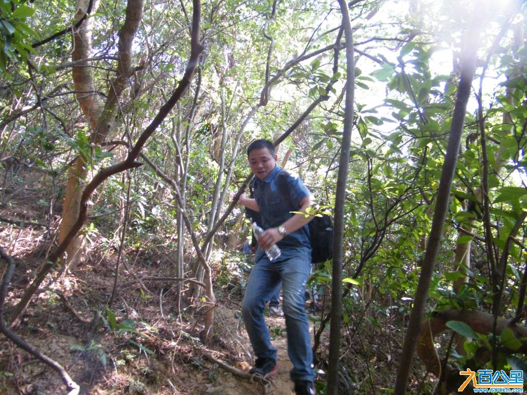 DSCF0811.JPG
