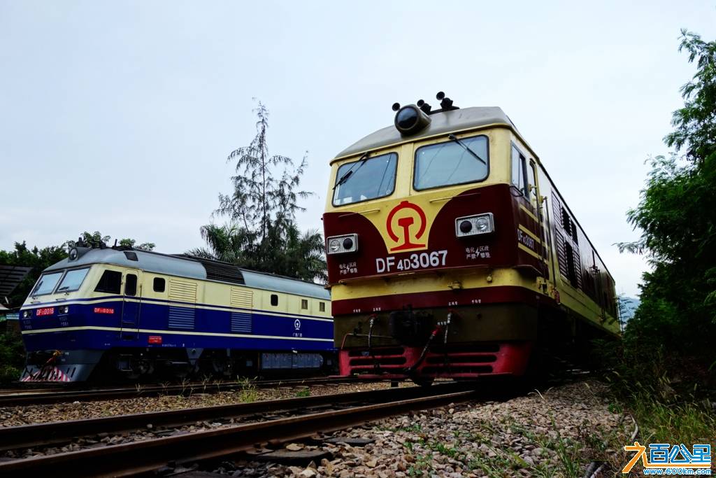 DSC06985_副本.jpg