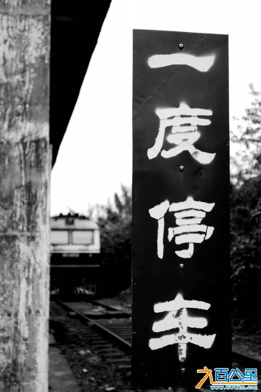 DSC06963_副本.jpg