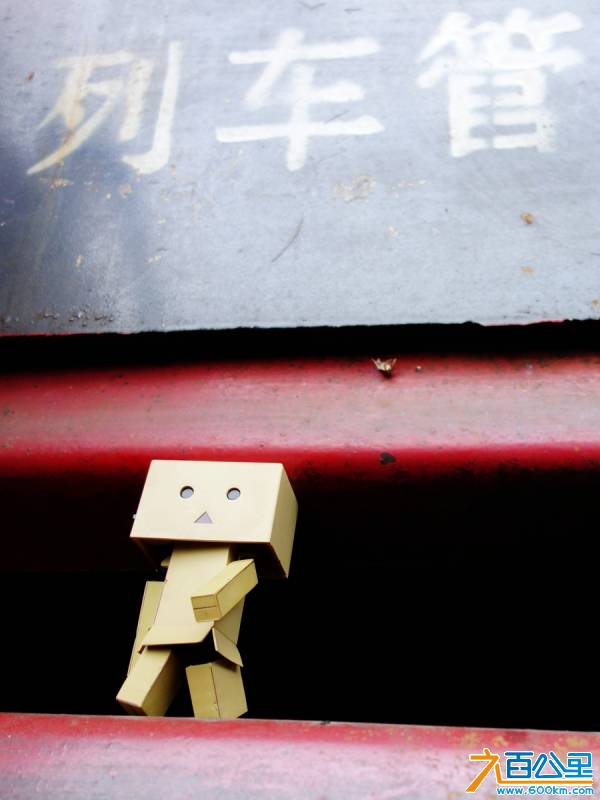 DSC06959_副本.jpg