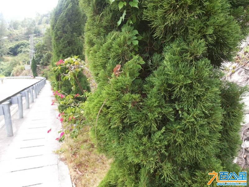 20131109_131741.jpg