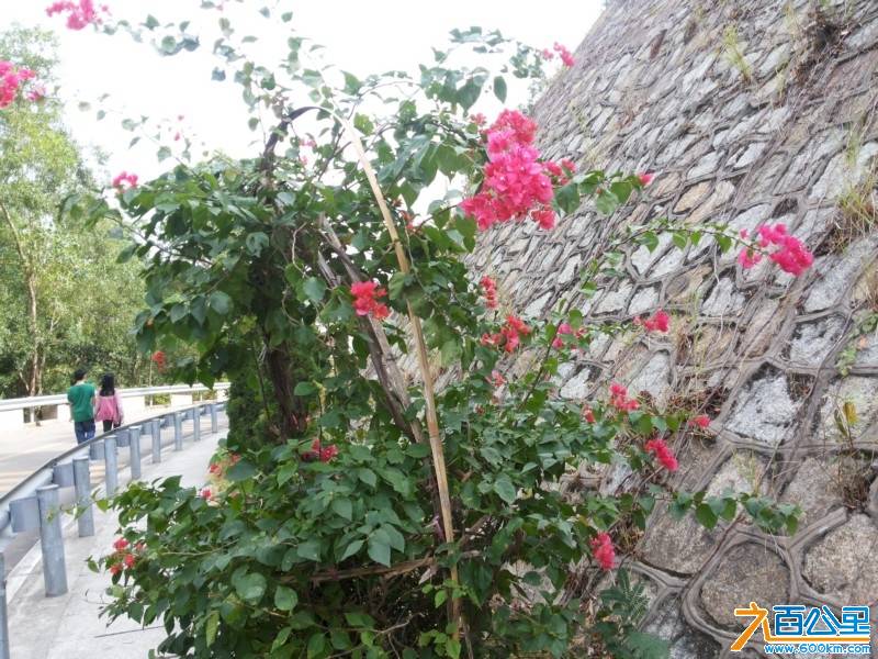 20131109_133325.jpg
