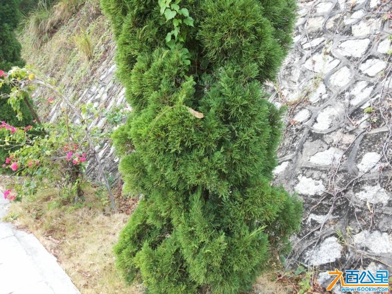 20131109_133437.jpg