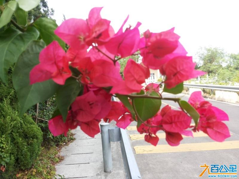 20131109_133527.jpg