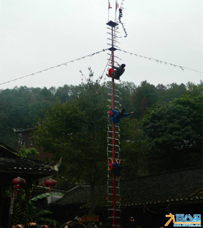 DSCN4858.jpg