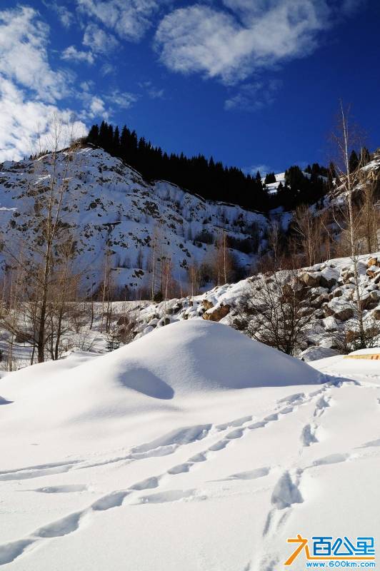 nEO_IMG_巍峨的雪山 下有着我们的痕迹.jpg