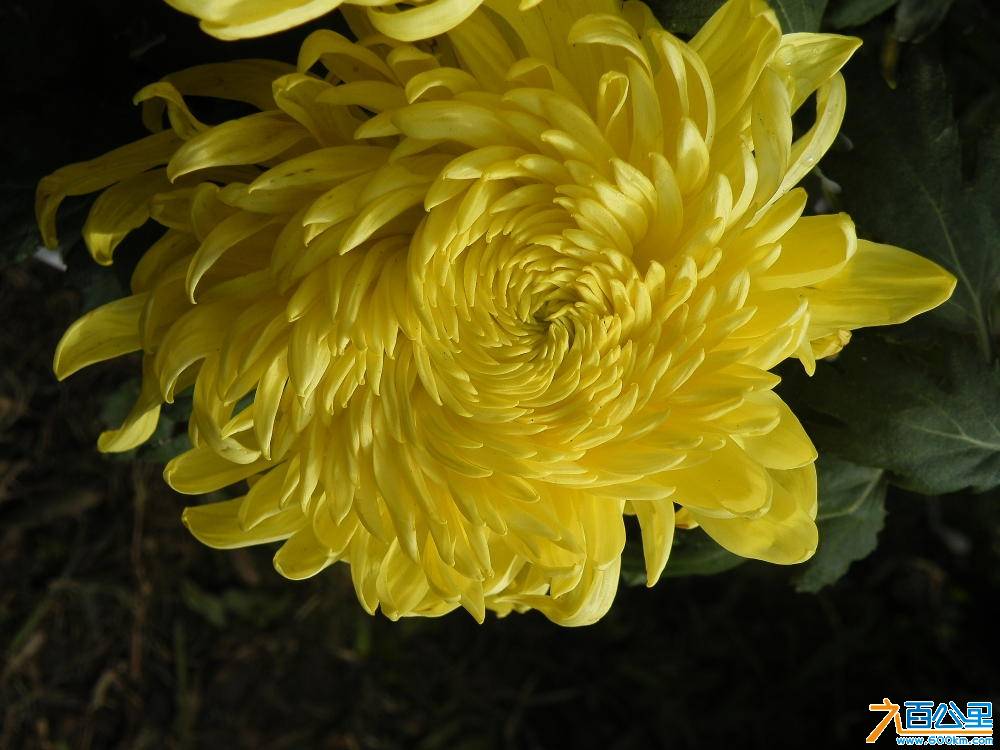 DSCF8866.JPG