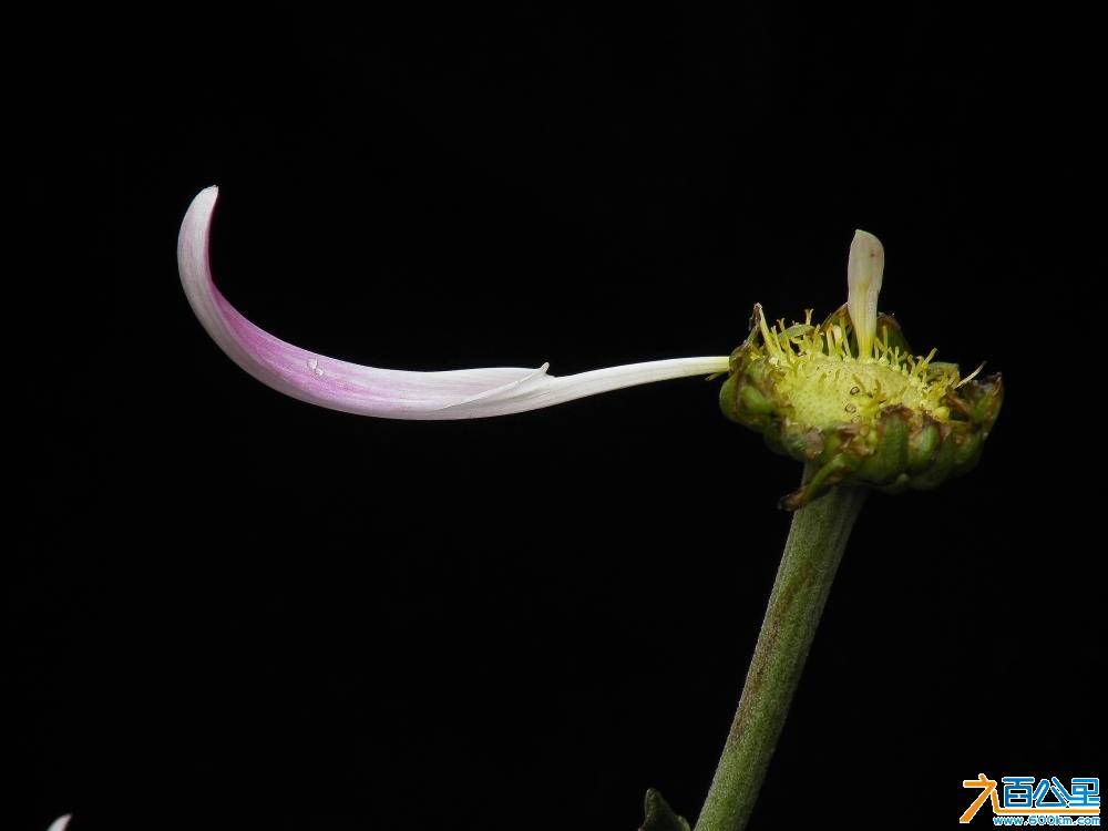 DSCF8934.JPG