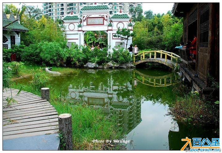 007.JPG