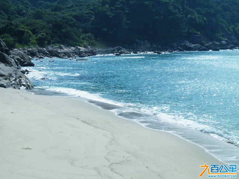 DSCF8335.JPG
