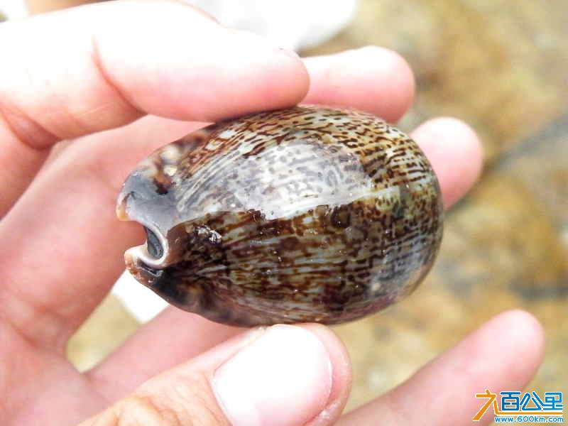 DSCF8517.JPG