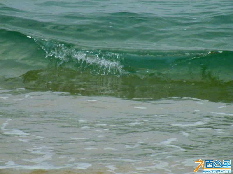 DSCF8534.JPG