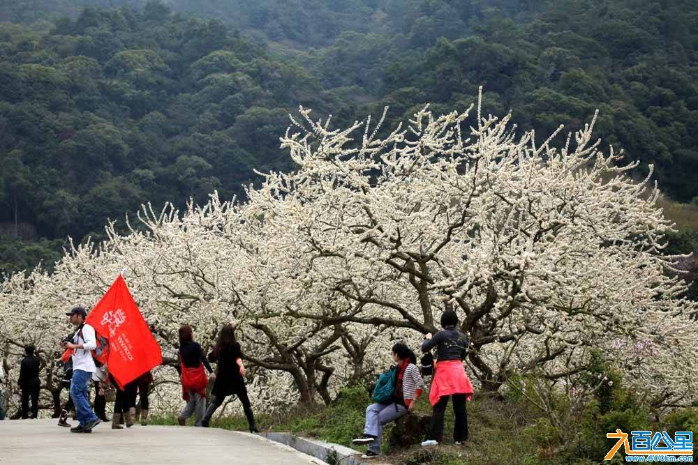 比亚迪六百公里自驾游