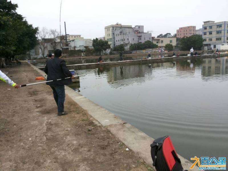 mmexport1392465235484.jpg