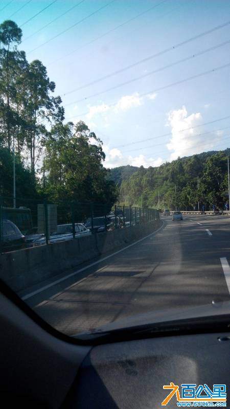 IMG_20140601_165035.jpg