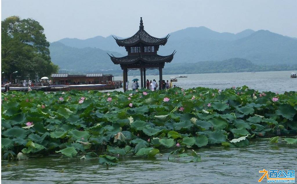 xi1.jpg