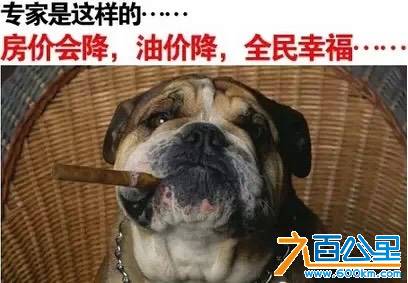 083645kb347bl11g7w34a0.jpg