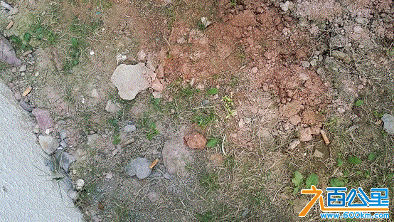 无标题.gif