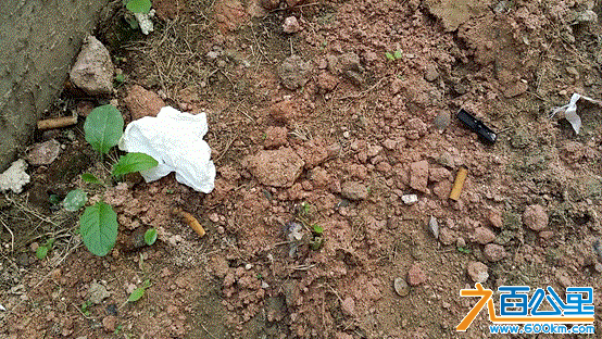 无标题1.gif