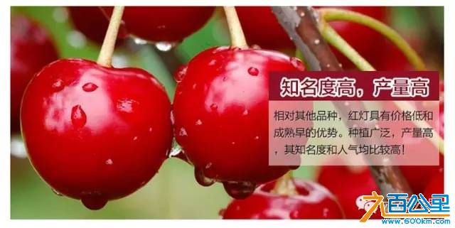 640.webp (29).jpg