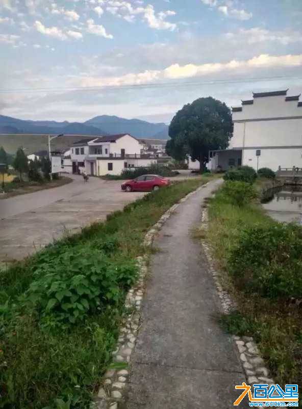 46860