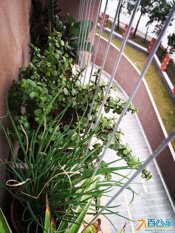 wechat_upload15223903245abdd5345453e