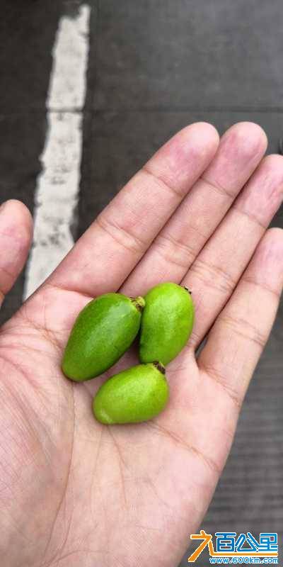 wechat_upload15275565625b0ca9d2f1ec8