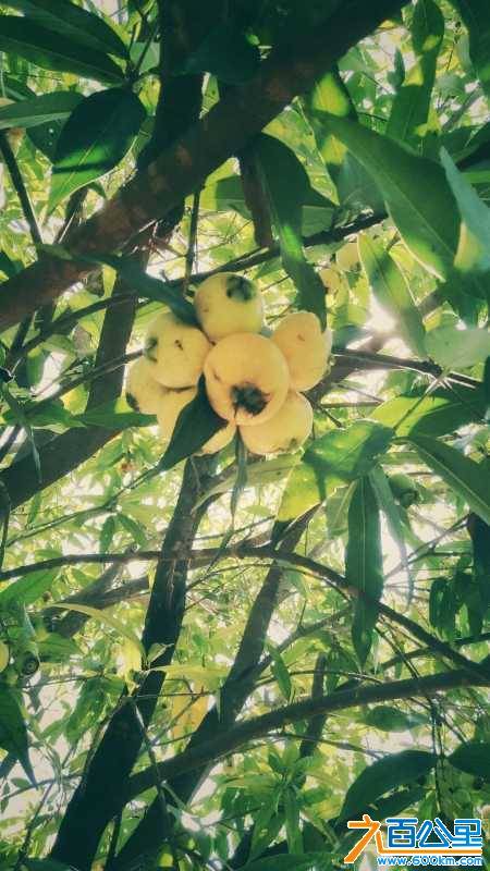 wechat_upload15289432695b21d2a5906fd