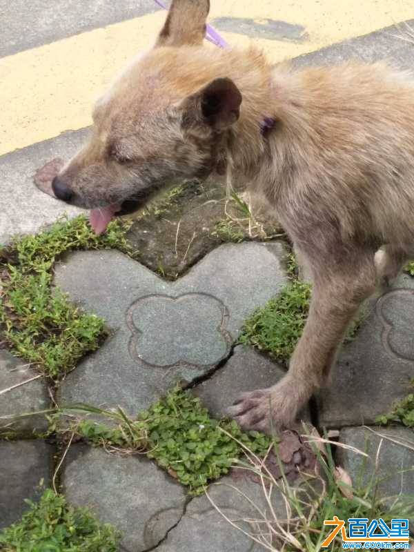 wechat_upload15353370975b836289d3513