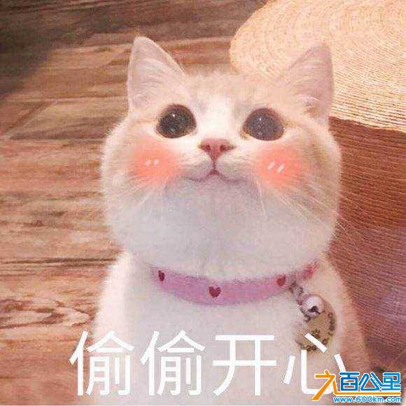 wechat_upload15401112595bcc3b9b5ded2