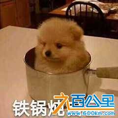 wechat_upload15402719445bceaf48a31d6